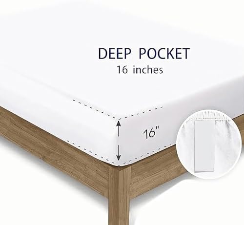 XYNHML Gradient Butterfly Sheet Set 4Pcs Twin