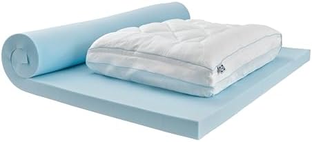 Sealy Dreamlife 3 Gel Memory Foam Queen Mattress Topper 1