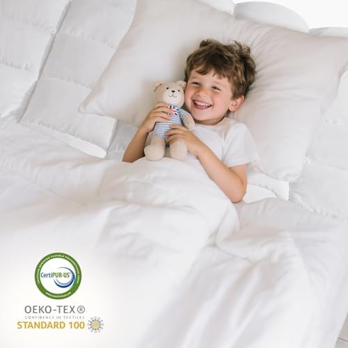 ABROLOY Memory Foam Queen Mattress Topper with 3 Inch Shredded Foam