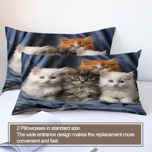 Cute Cats Duvet Cover Set California King Size