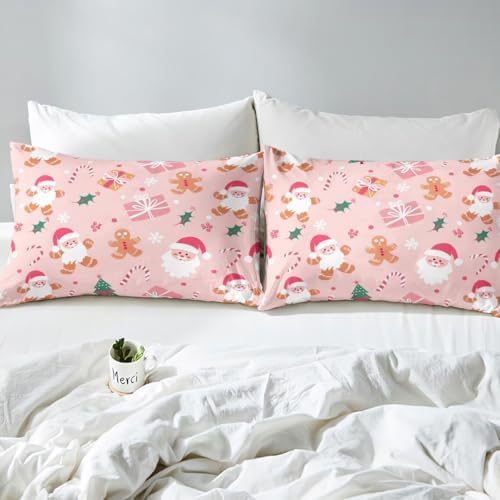 Feelyou Christmas Bedding Set 3Pcs Full Size
