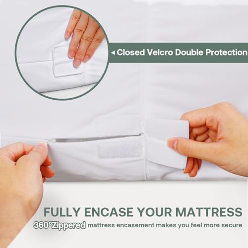 Dorms Hotel Exclusive Twin XL Waterproof Mattress Protector