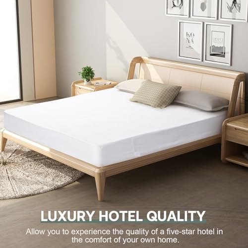 Dorms Hotel Exclusive Twin XL Waterproof Mattress Protector