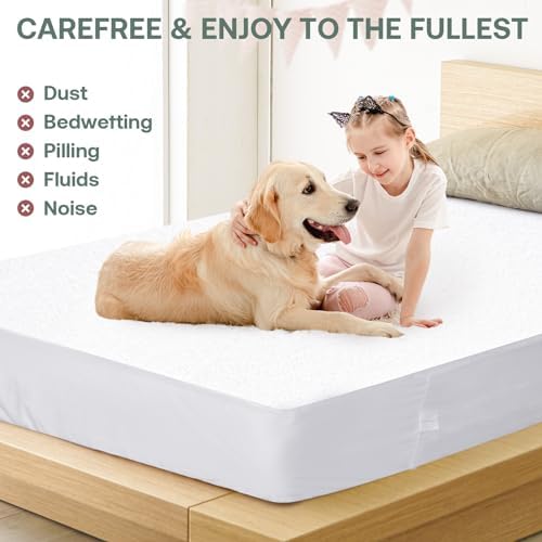 Dorms Hotel Exclusive Twin XL Waterproof Mattress Protector