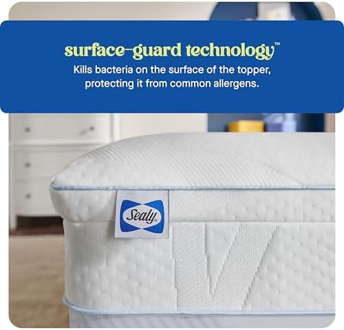 Sealy Dreamlife 3 Gel Memory Foam Queen Mattress Topper 1
