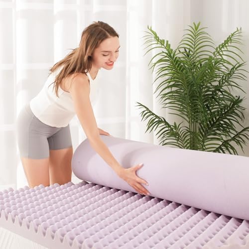 EGOHOME Egg Crate 3-Inch Memory Foam Mattress Topper Full Purple 54x75