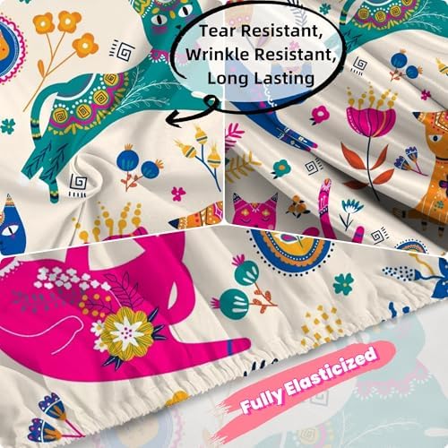 EDGZKO Queen Cat Sheet Set 4 Piece Kids Bedding