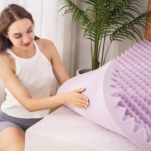 EGOHOME Egg Crate 3-Inch Memory Foam Mattress Topper Full Purple 54x75