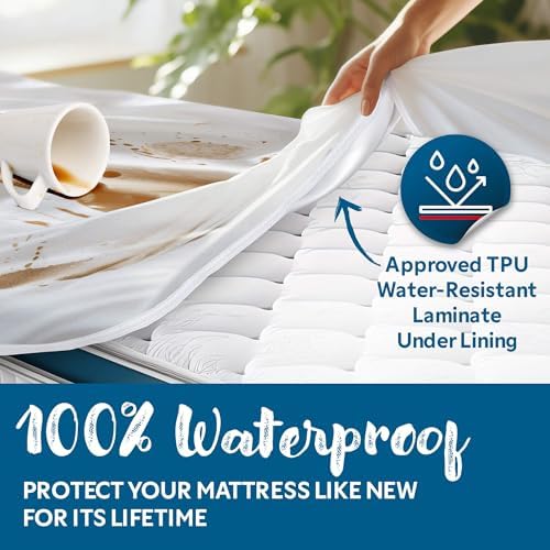 Guardmax Jersey Knitted Queen Mattress Encasement with Deep Pockets and Zipper