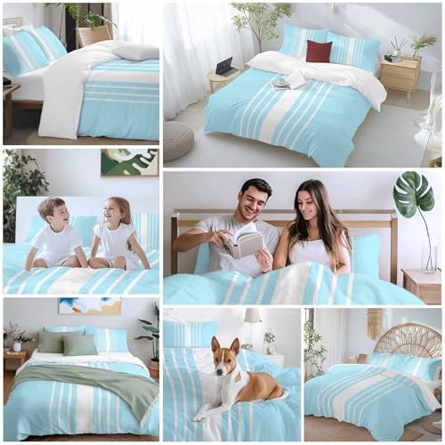Sabolny Sky Blue Queen Duvet Cover Set with 2 Throw Pillowcases
