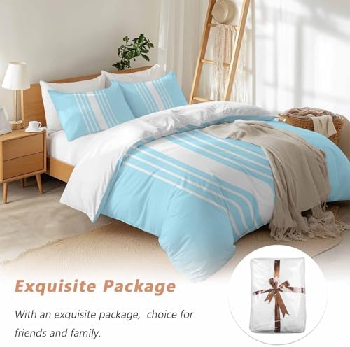 Sabolny Sky Blue Queen Duvet Cover Set with 2 Throw Pillowcases