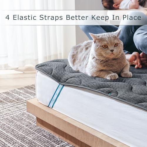 LINSY LIVING Twin Mattress Pad Waterproof Protector 74x38